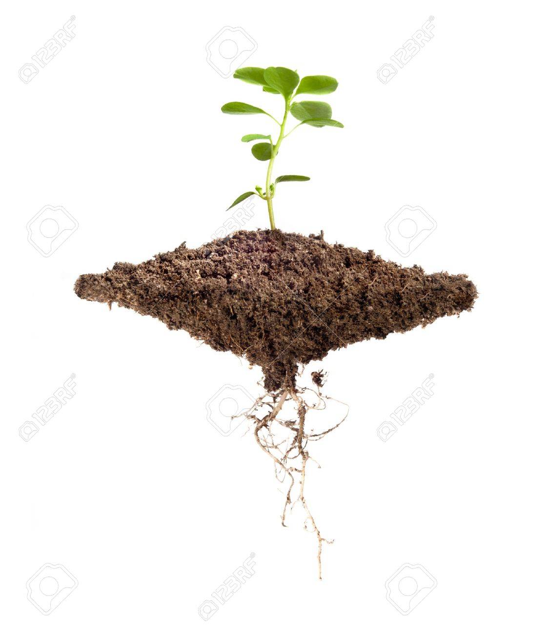 Dirt piece Clearance