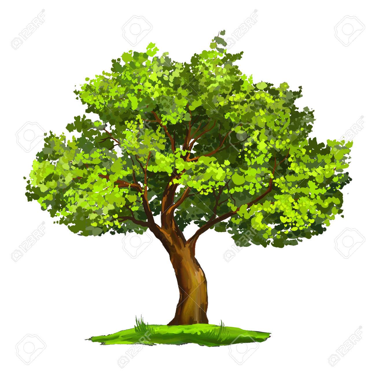 Tree vector illustration hand drawn painted watercolor - 37931790 Tree vector illustration hand drawn painted watercolor - 37931790