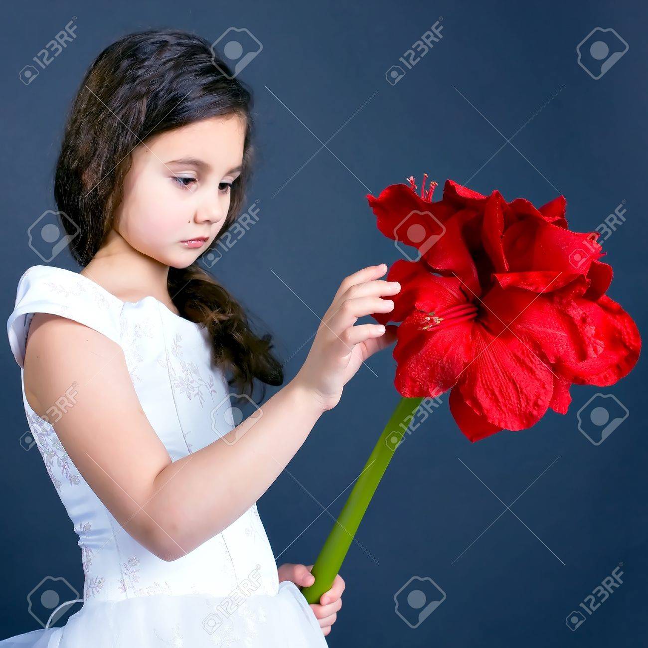 Belle Fille Rêve Avec Une Fleur Rouge Vive
