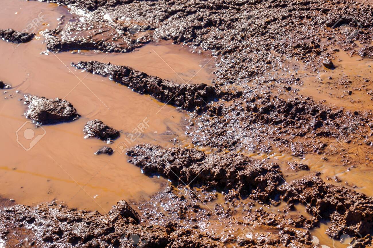 茶色の汚れと水で覆われた未舗装道路上の車の車輪の痕跡 の写真素材 画像素材 Image