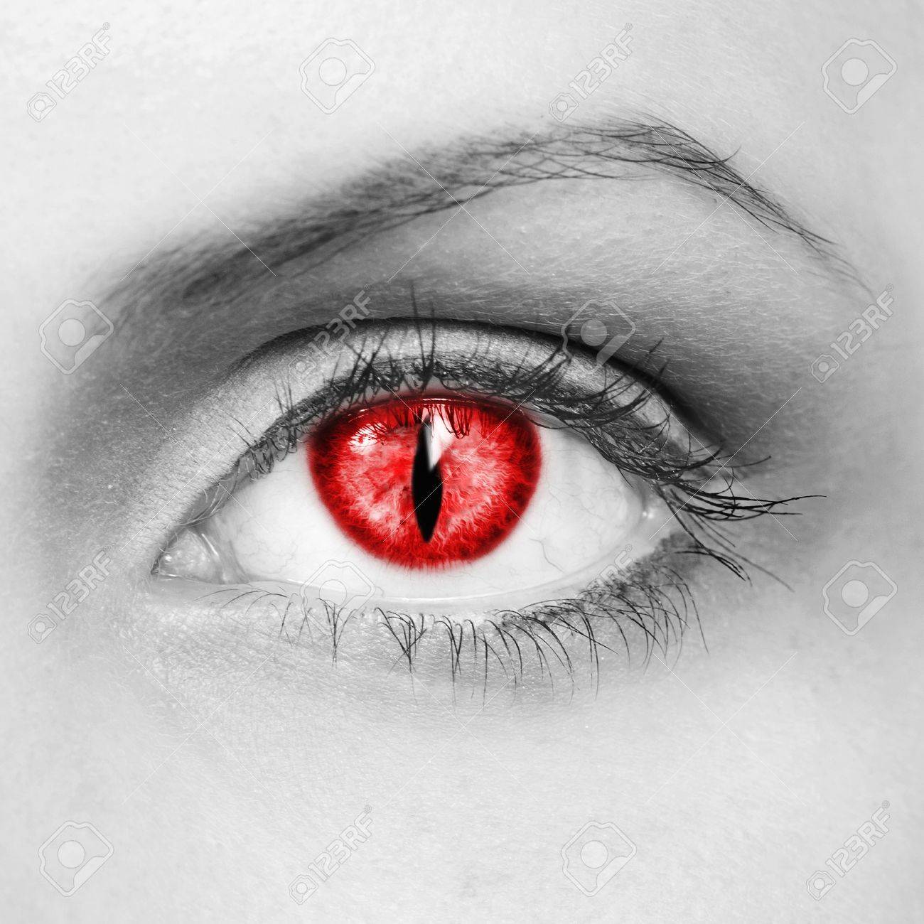 The Eye Of The Vampire Stock Photo Picture And Royalty Free Image Image