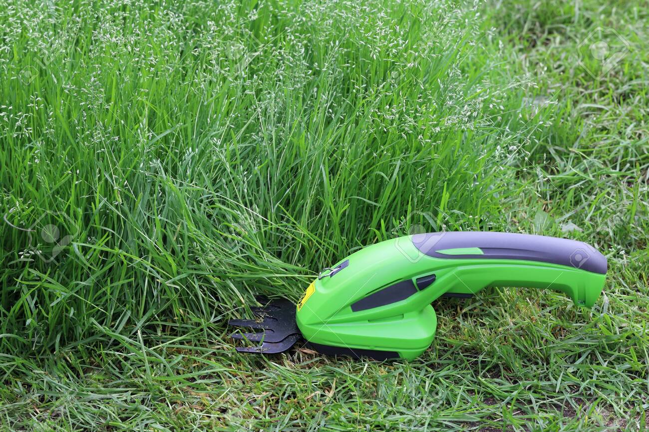 electric lawn hand clippers