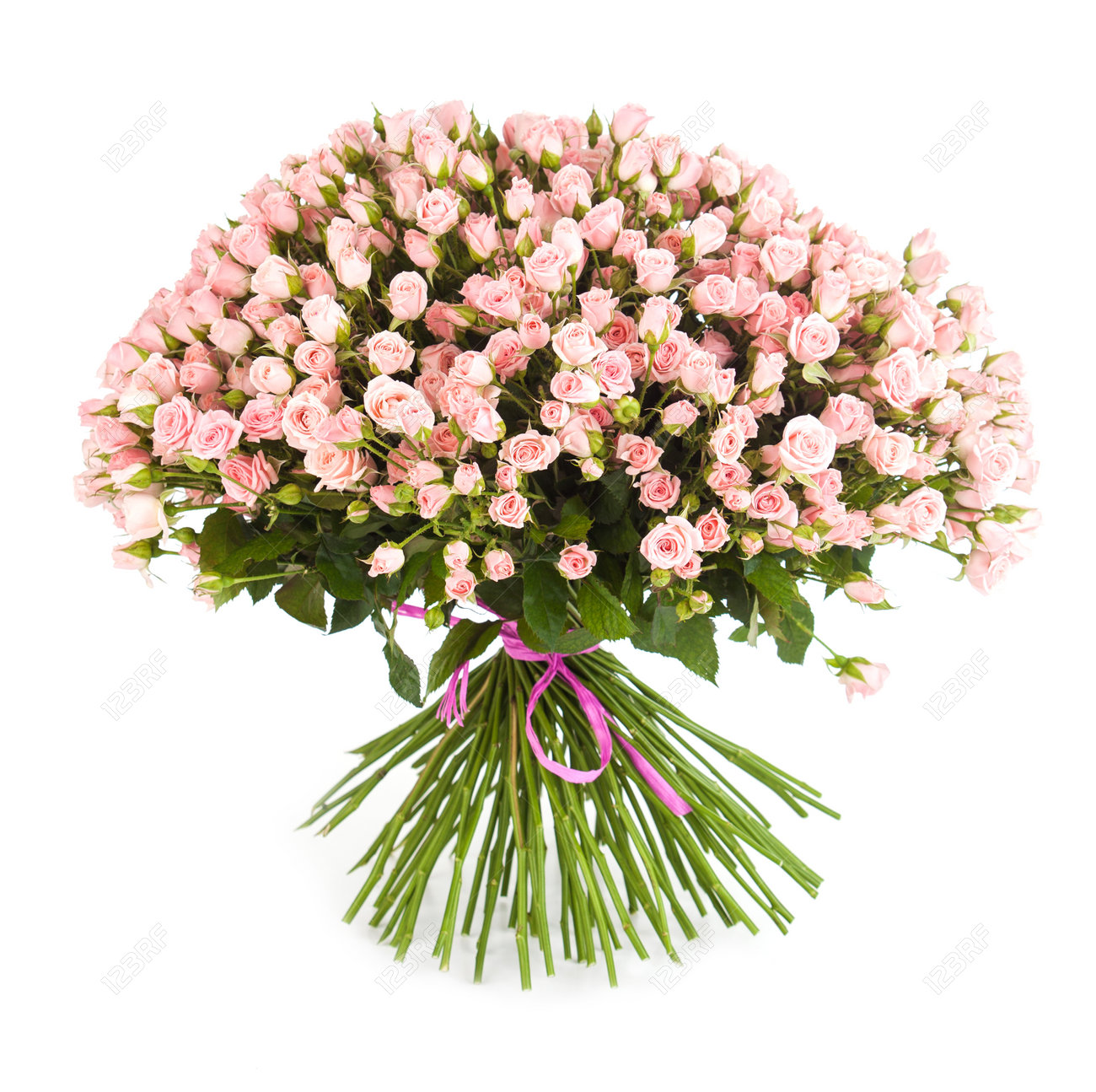 Big Flower Bouquet From Bright Pink Roses Isolated On White Background Stock Photo Picture And Royalty Free Image Image 77757605