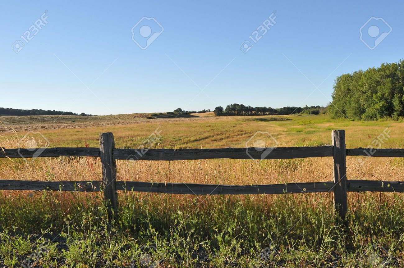 An Old Wood Fence With A Green Country Field Behind It. Stock Photo,  Picture and Royalty Free Image. Image 7452706., image size:1300x863