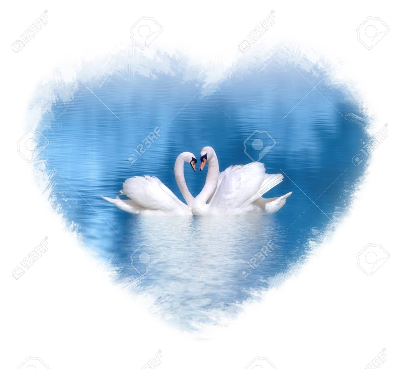 Couple De Cygnes Amoureux Sur Le Lac Bleu Encadre Avec Une Forme De Coeur Aquarelle Banque D Images Et Photos Libres De Droits Image