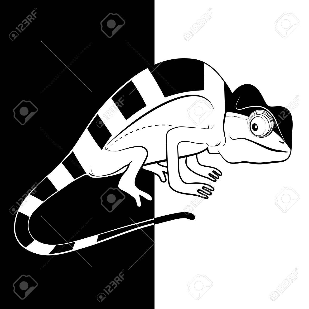 黒と白の背景でカメレオンのイラスト素材 ベクタ Image