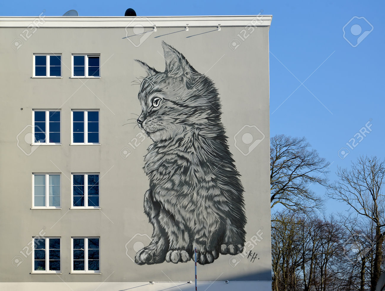 etiam-dictum-ipsum-a-felis