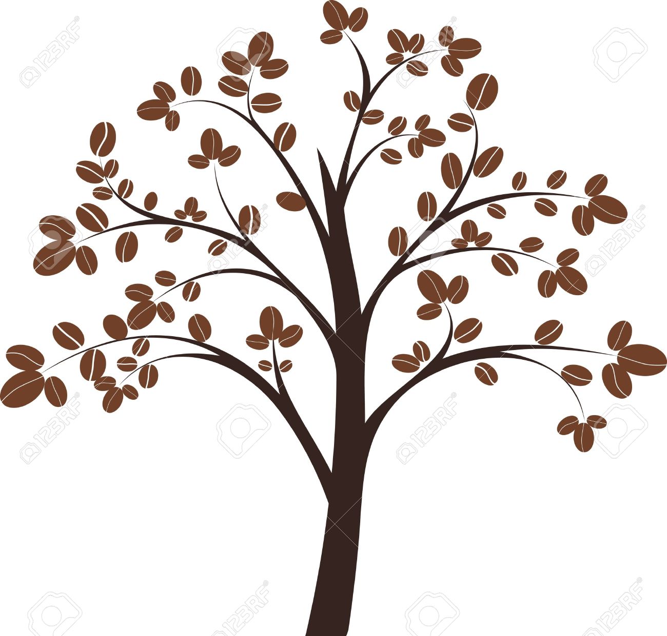 Coffee Tree Coffee Tree