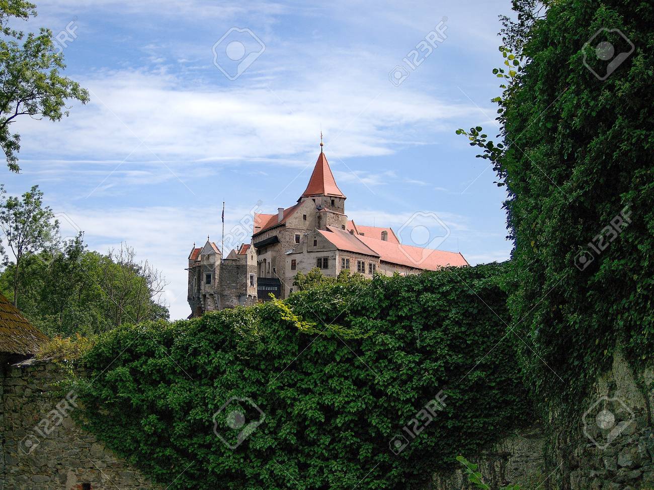 etiam-dictum-ipsum-a-felis