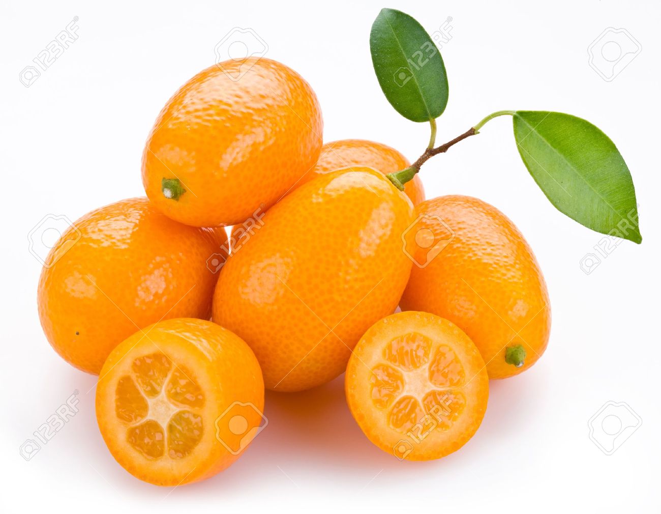 Image result for images of kumquats