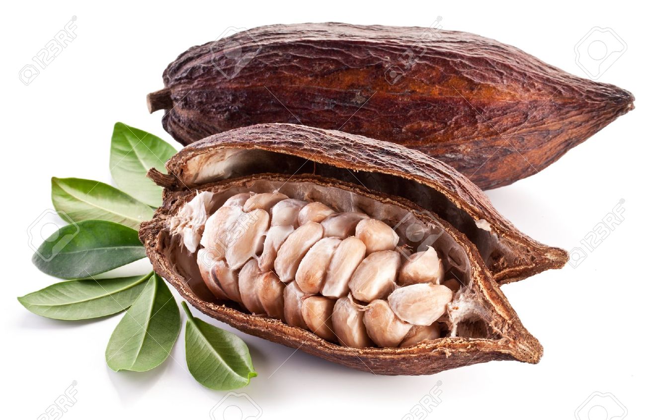 Cocoa Beans Cocoa Beans