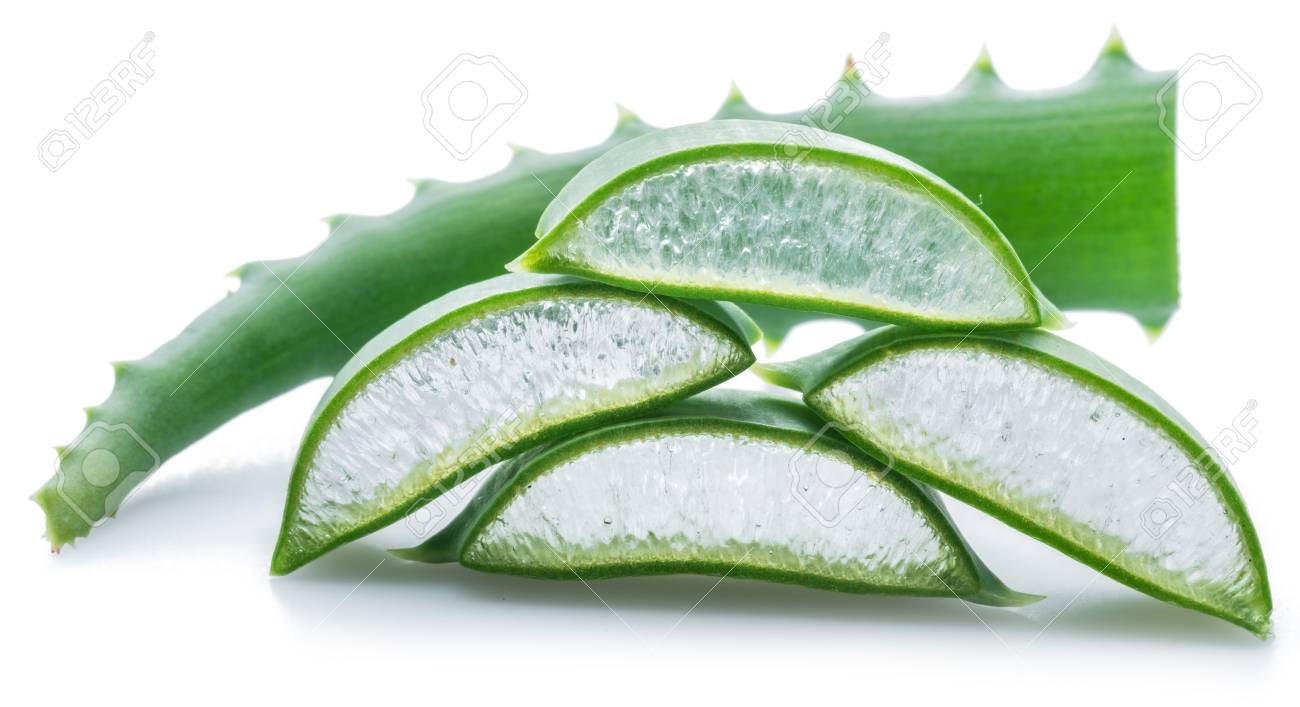 Aloe Or Aloe Vera Fresh Leaves And Slices On White Background Stock Photo Picture And Royalty Free Image Image