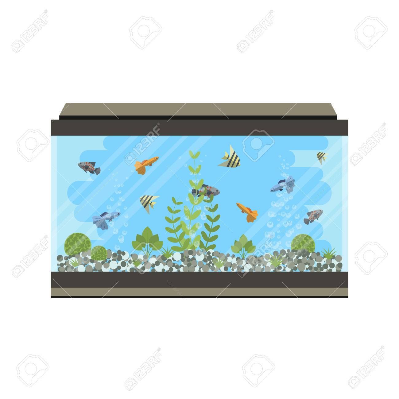 Illustration Vectorielle De Dessin Animé Aquarium à La Maison Avec De Leau Des Plantes Et Des Poissons