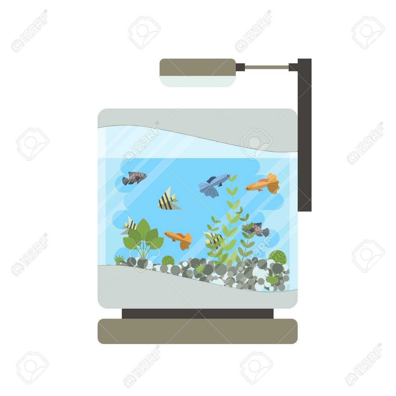 Illustration Vectorielle De Dessin Animé Aquarium à La Maison Avec De Leau Des Plantes Et Des Poissons