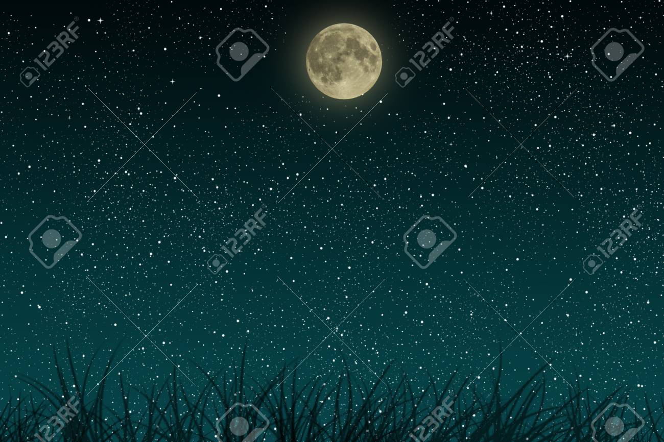 Belle Nuit Bleue Ciel étoilé Avec La Pleine Lune Et De Lherbe De Plus En Plus