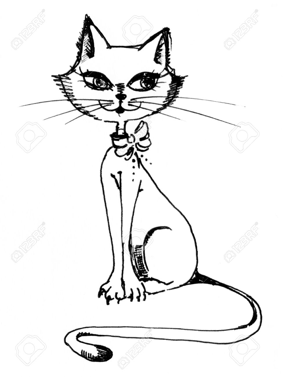 Sitting beautiful cat Drawing made by hand