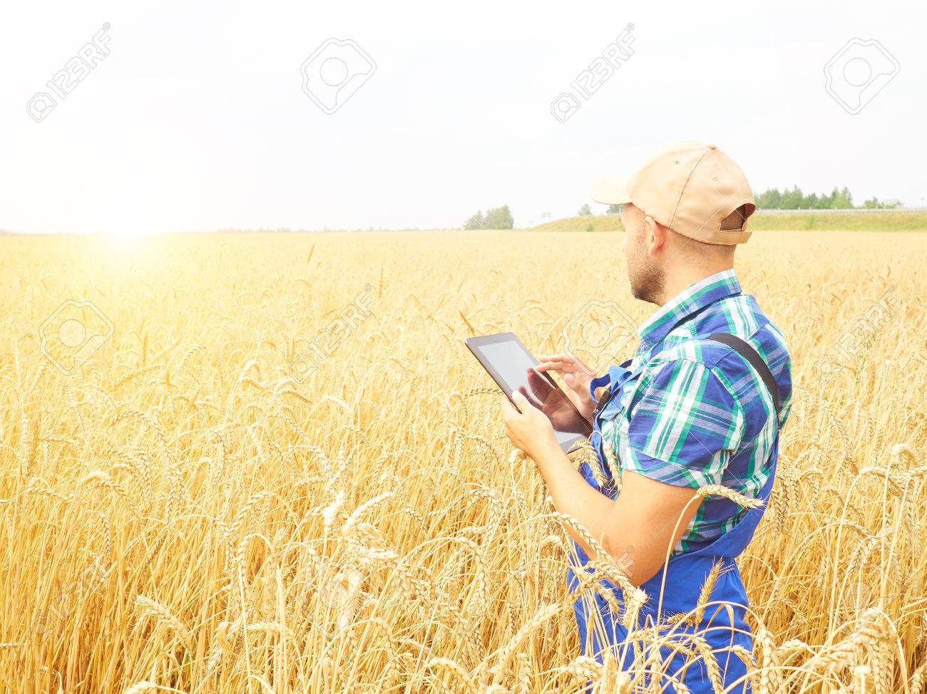 Farmer in a plaid shirt controlled his field and working at tablet. Wheat harvest. Agriculture. - 60905033 Farmer in a plaid shirt controlled his field and working at tablet. Wheat harvest. Agriculture. - 60905033