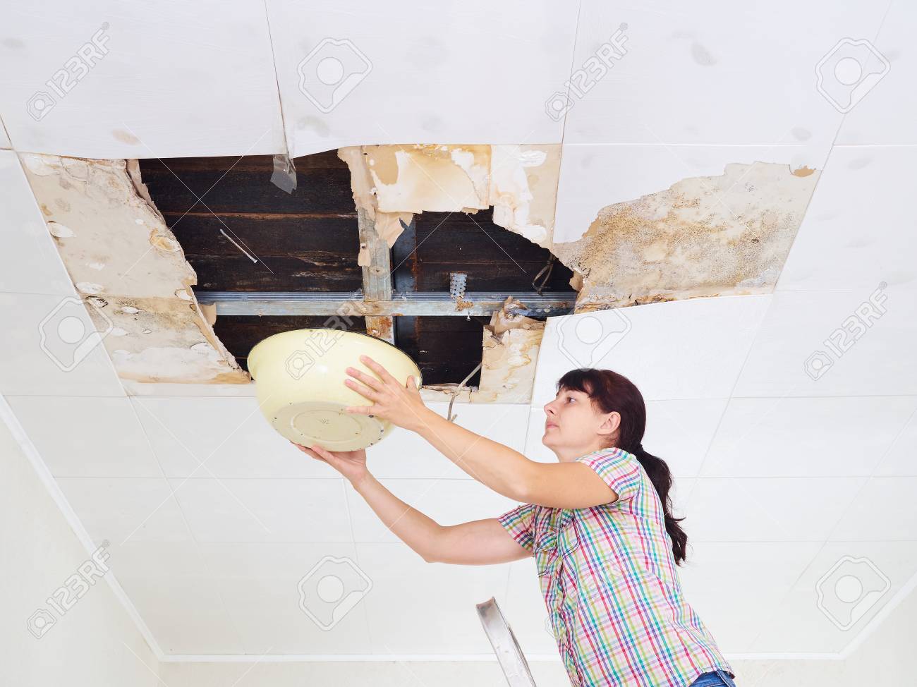Young Woman Collecting Water In basin From Ceiling. Ceiling panels damaged huge hole in roof from rainwater leakage.Water damaged ceiling . - 66391578 Young Woman Collecting Water In basin From Ceiling. Ceiling panels damaged huge hole in roof from rainwater leakage.Water damaged ceiling . - 66391578