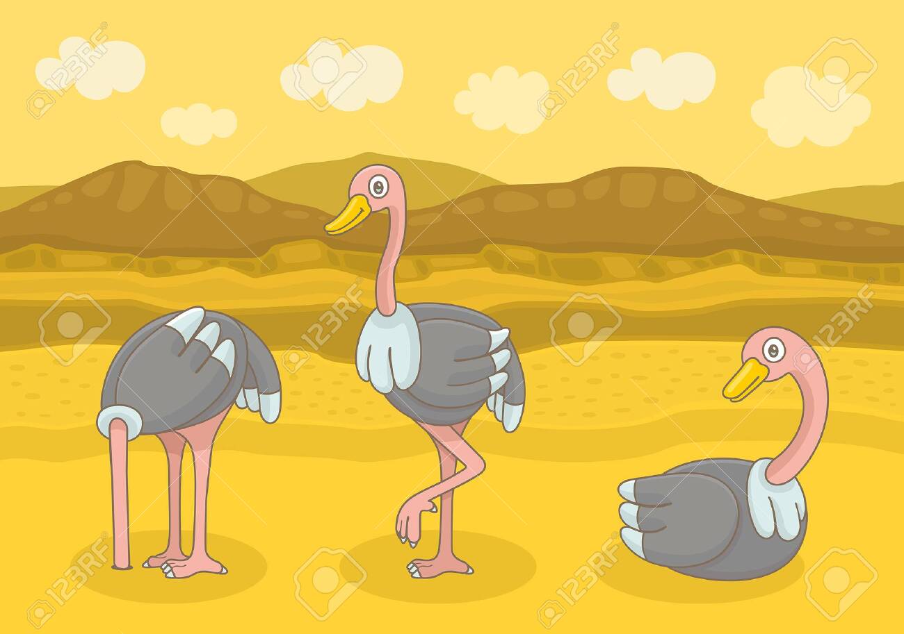 Three Different Ostrich. Funny Cartoon And Vector Illustration Royalty Free SVG, Cliparts, Vectors, And Stock Illustration. Image 123288215. Three Different Ostrich. Funny Cartoon And Vector Illustration Royalty Free SVG, Cliparts, Vectors, And Stock Illustration. Image 123288215.