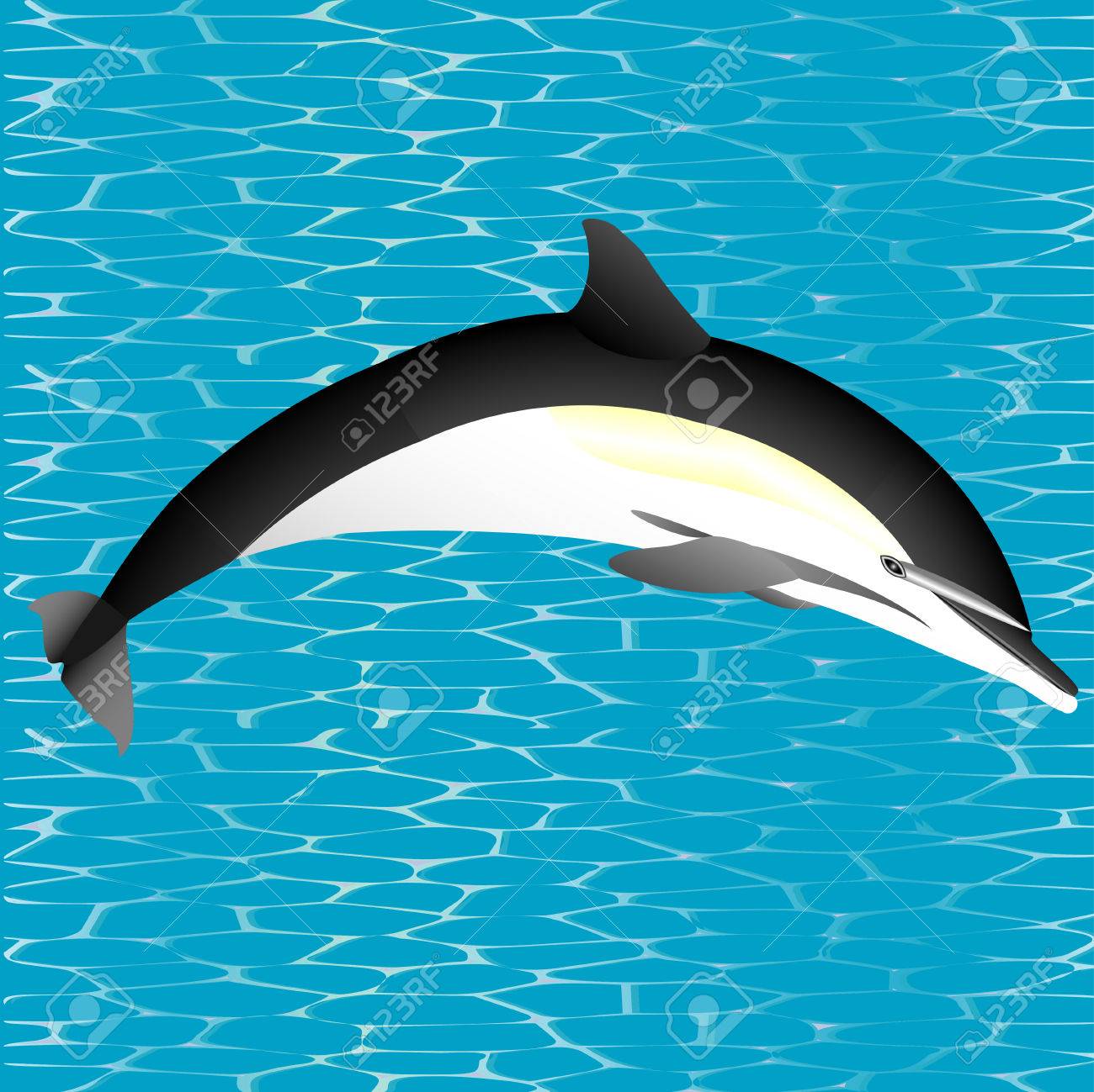 水から飛び出すシャチ シャチ のイラスト素材 ベクタ Image