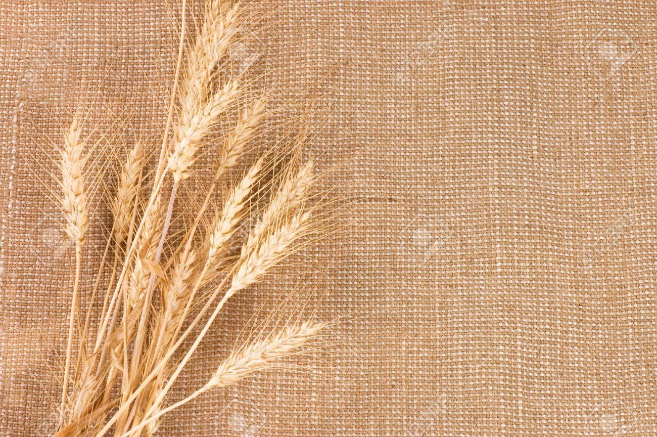 wheat ears border on burlap background stock photo picture and free burlap background