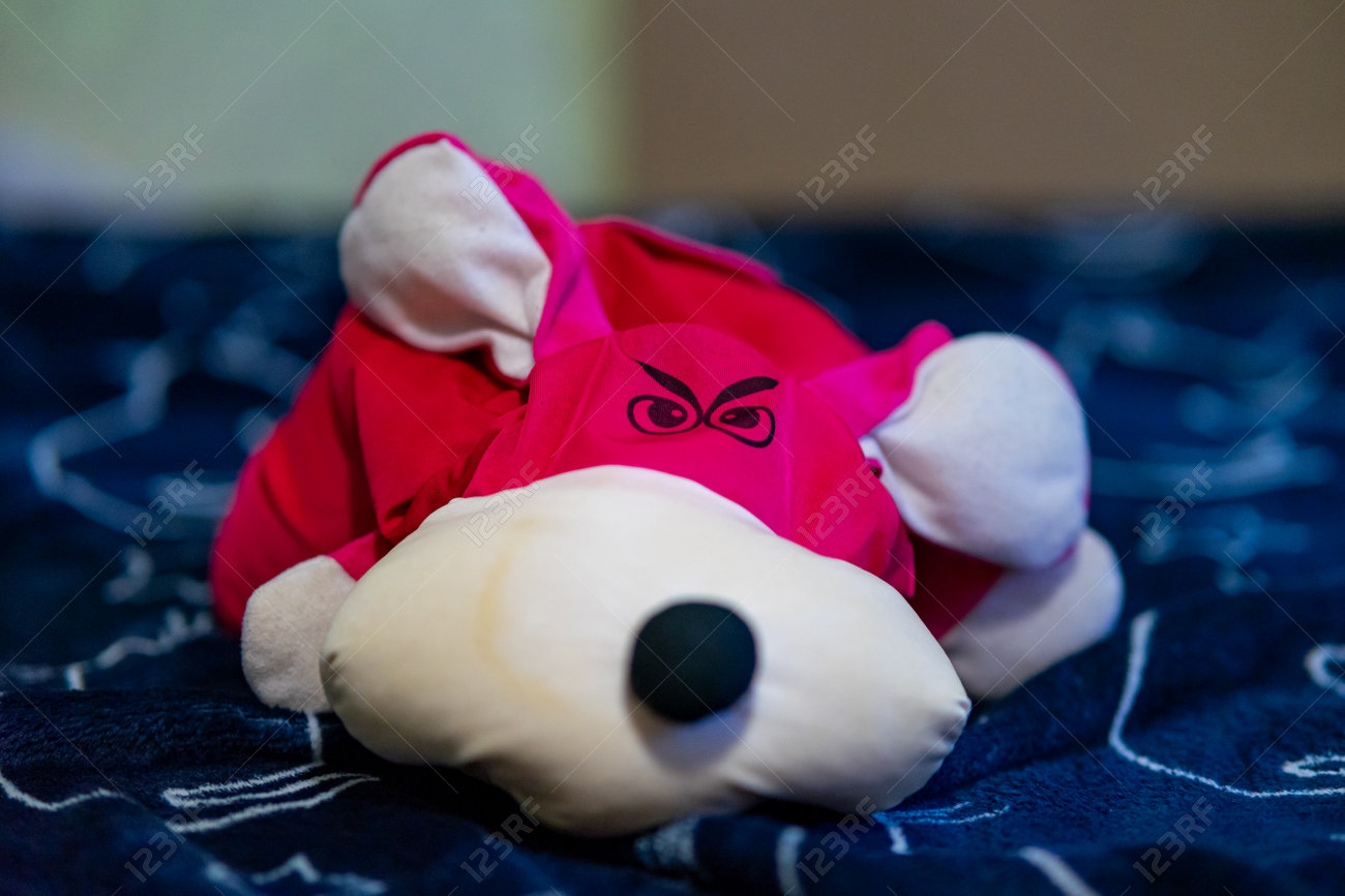 etiam-dictum-ipsum-a-felis