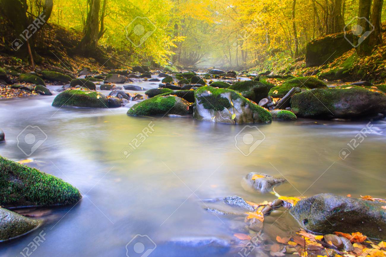 Magic River