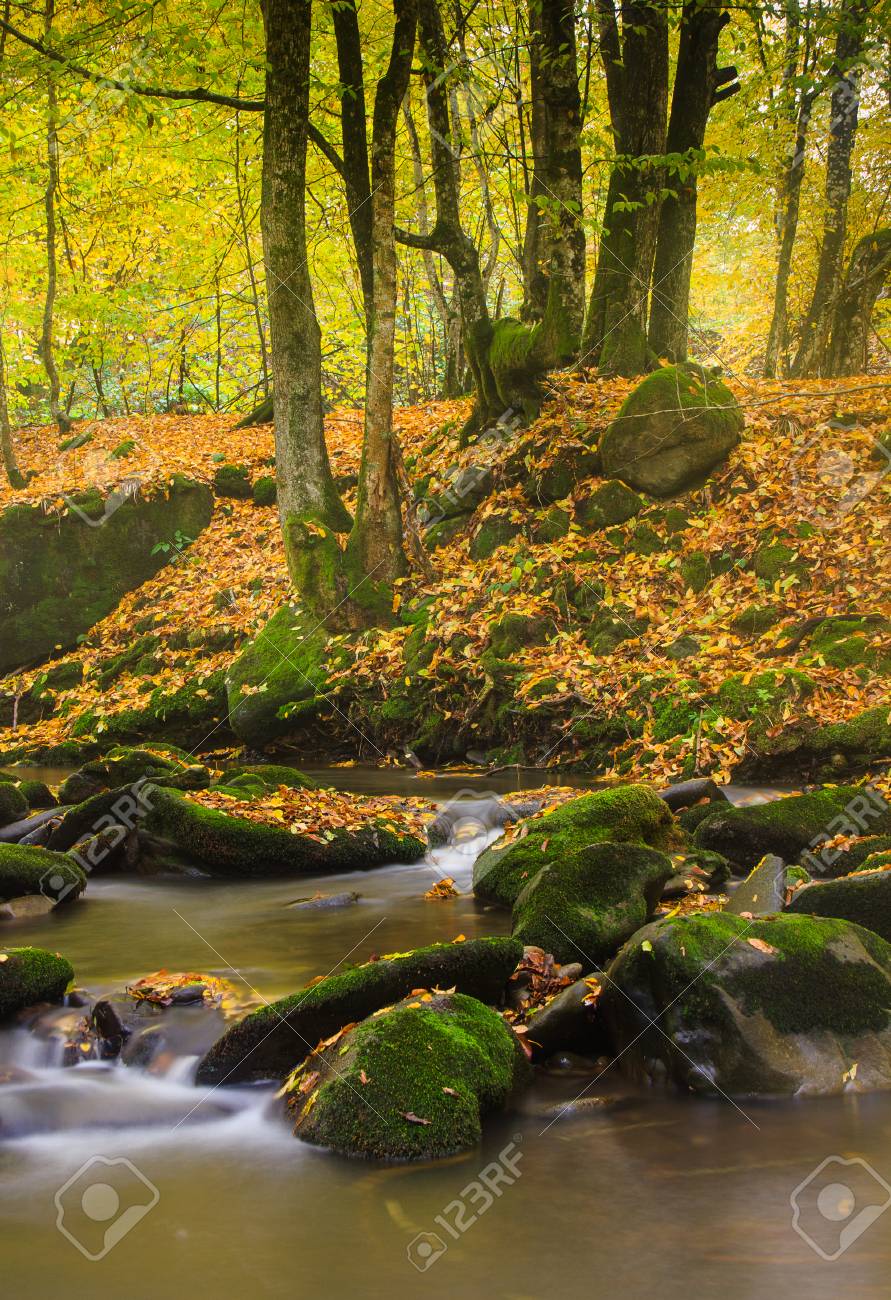 Magic River