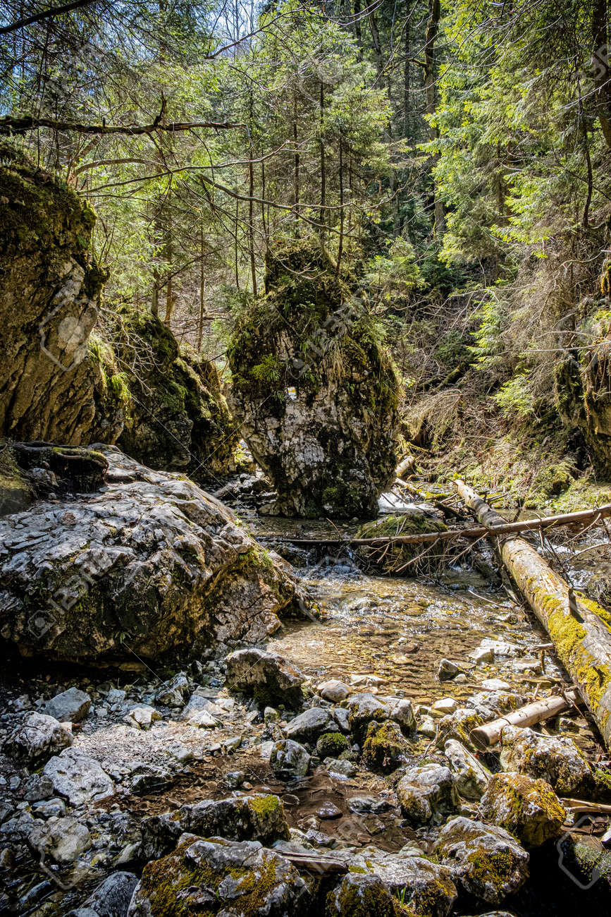 Velky Sokol gorge, Slovak Paradise national park. Seasonal natural scene. - 169797823 Velky Sokol gorge, Slovak Paradise national park. Seasonal natural scene. - 169797823