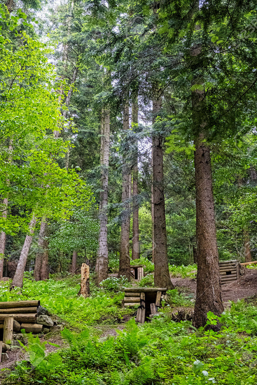 Military bunkers in the forest, Dukla battlefield, Slovak republic. Travel destination. - 171586282 Military bunkers in the forest, Dukla battlefield, Slovak republic. Travel destination. - 171586282