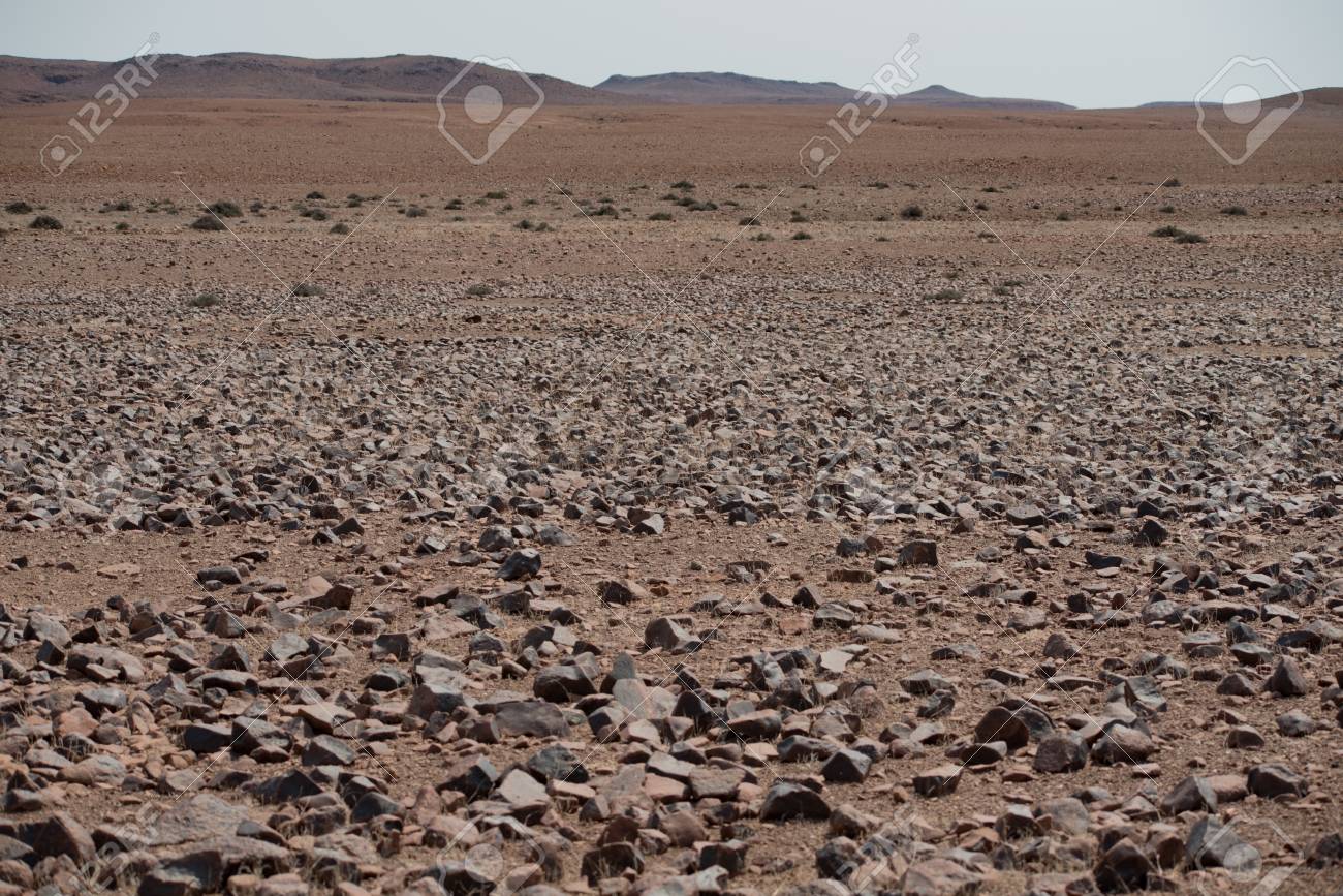 砂漠の石 【公式通販】