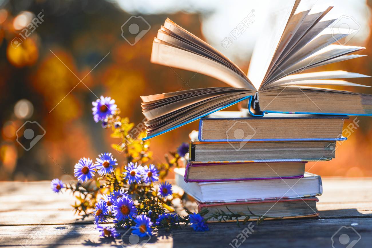 Open book on wooden table on natural background. Soft focus - 117601207 Open book on wooden table on natural background. Soft focus - 117601207