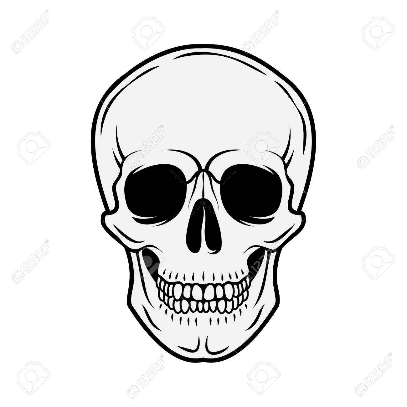 Human skull. Front view. Vector black and white hand drawn illustration isolated on white background - 165845613 Human skull. Front view. Vector black and white hand drawn illustration isolated on white background - 165845613