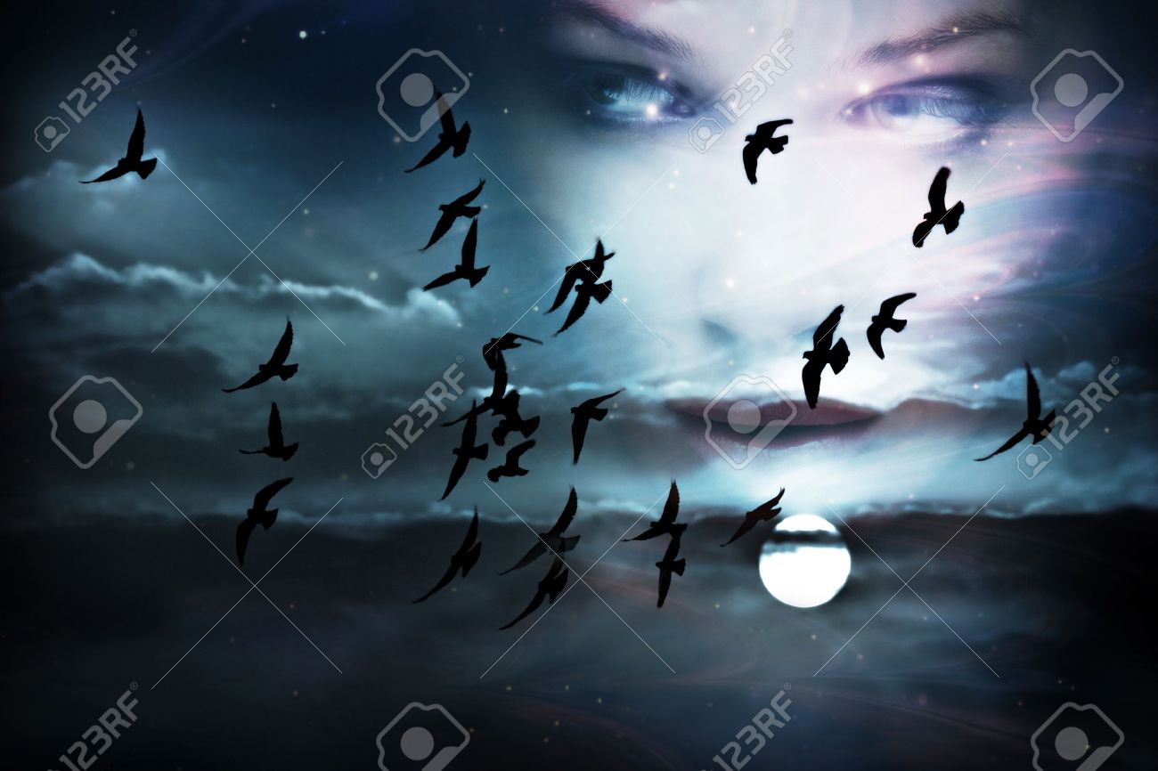空 鳥 満月 女性の顔は 2 つの画像から構成されます の写真素材 画像素材 Image