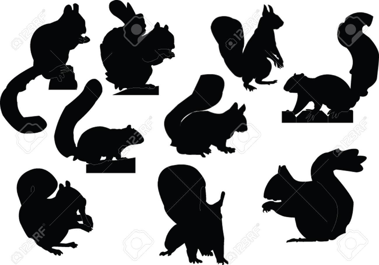 Squirrel Silhouette Images Stock Pictures Royalty Free Squirrel - Squirrel Silhouette Squirrels Collection Vector Illustration squirrel silhouette images stock pictures royalty free squirrel - squirrel silhouette squirrels collection vector illustration