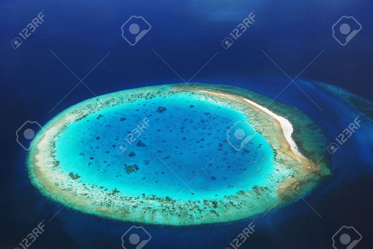 For sale at Desert Island, Rancho Mirage, CA, image size:1300x870