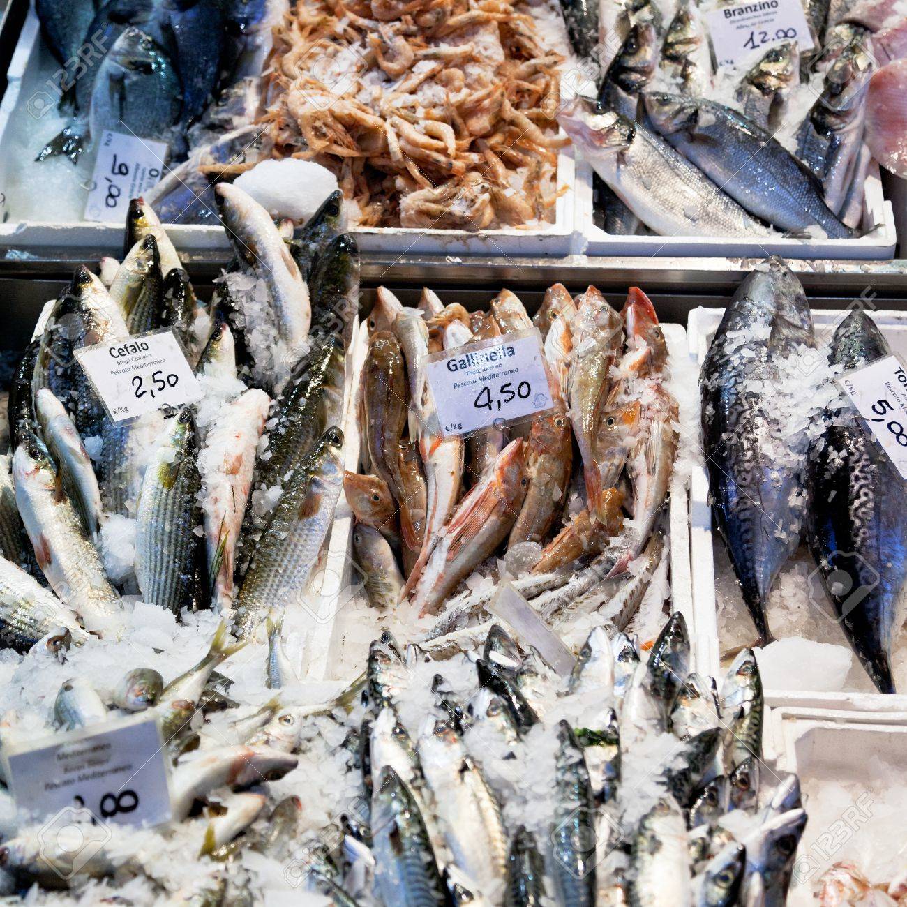 Fresh Cool Fish On Ice At Street Market In Bologna, Italy Stock Photo,  Picture and Royalty Free Image. Image 16661615.