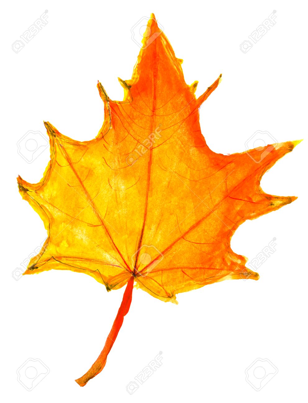 Dessin D Enfants Jaune Et Orange Automne Feuille D Erable Sur Fond Blanc Banque D Images Et Photos Libres De Droits Image Dessin D Enfants Jaune Et Orange Automne Feuille D Erable Sur Fond Blanc Banque D Images Et Photos Libres De Droits Image