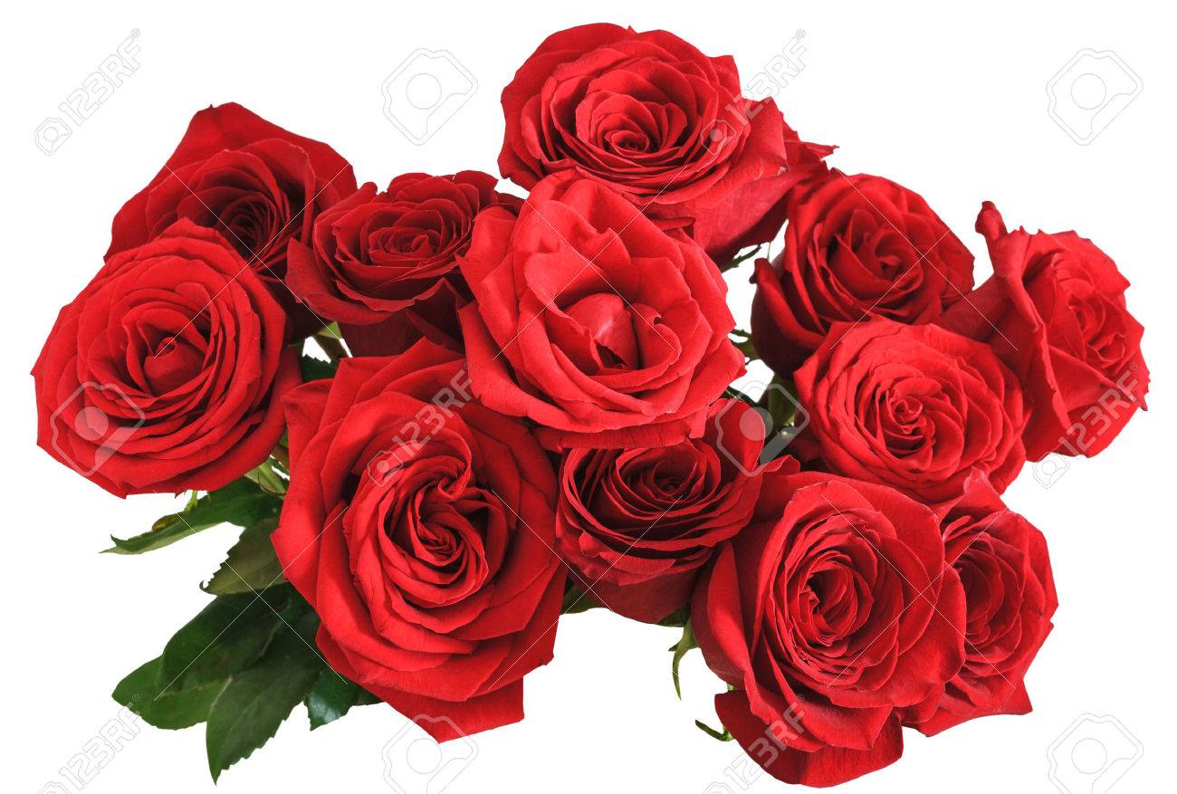 above view of bouquet of red roses isolated on white background - 40587695 above view of bouquet of red roses isolated on white background - 40587695