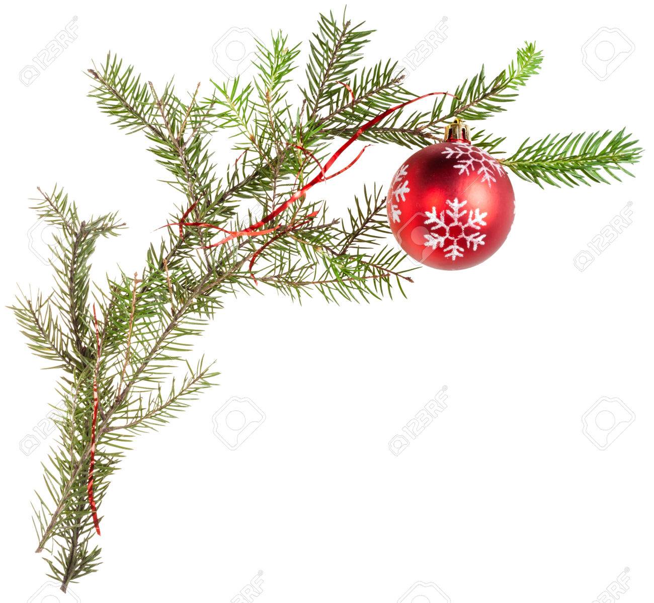 detail of xmas frame - twig of fir tree with cone and red ball on white background - 47444570 detail of xmas frame - twig of fir tree with cone and red ball on white background - 47444570