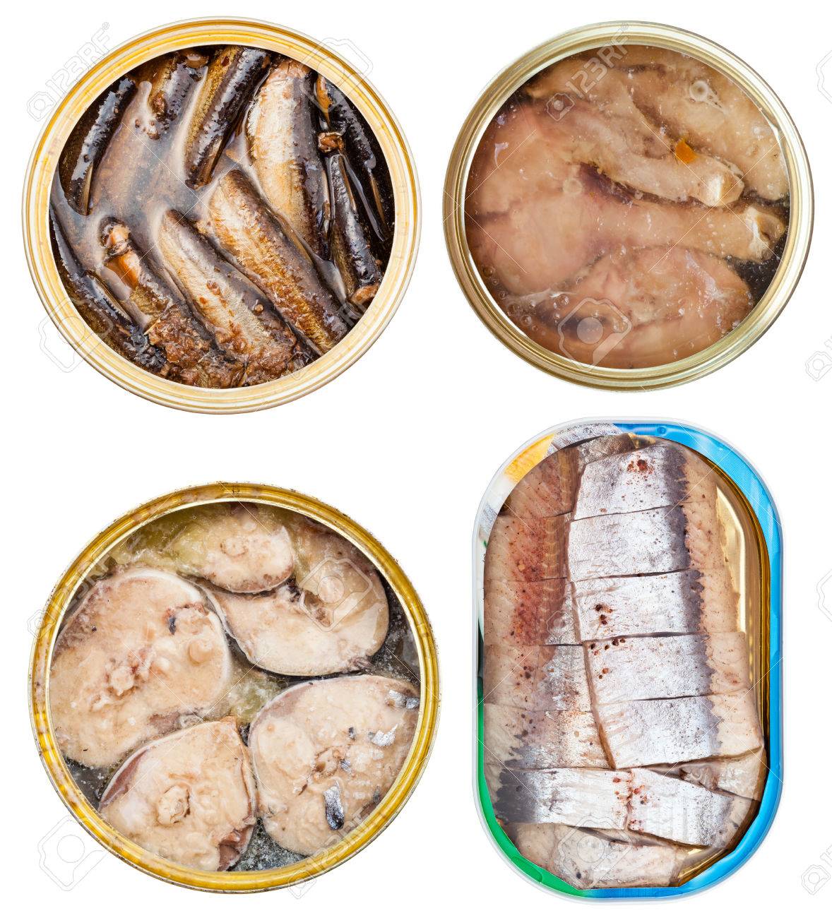 白い背景に分離されたオープン缶缶詰魚に設定します の写真素材 画像素材 Image 白い背景に分離されたオープン缶缶詰魚に設定します の写真素材 画像素材 Image
