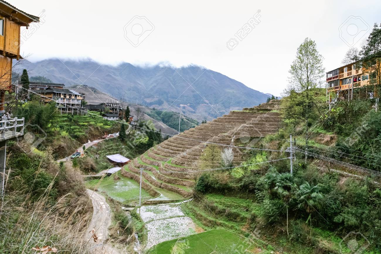 旅行中国に 龍勝棚田 ドラゴンのバックボーン テラス 龍脊棚田 地区 Dazhai 村へのパス国春日 の写真素材 画像素材 Image