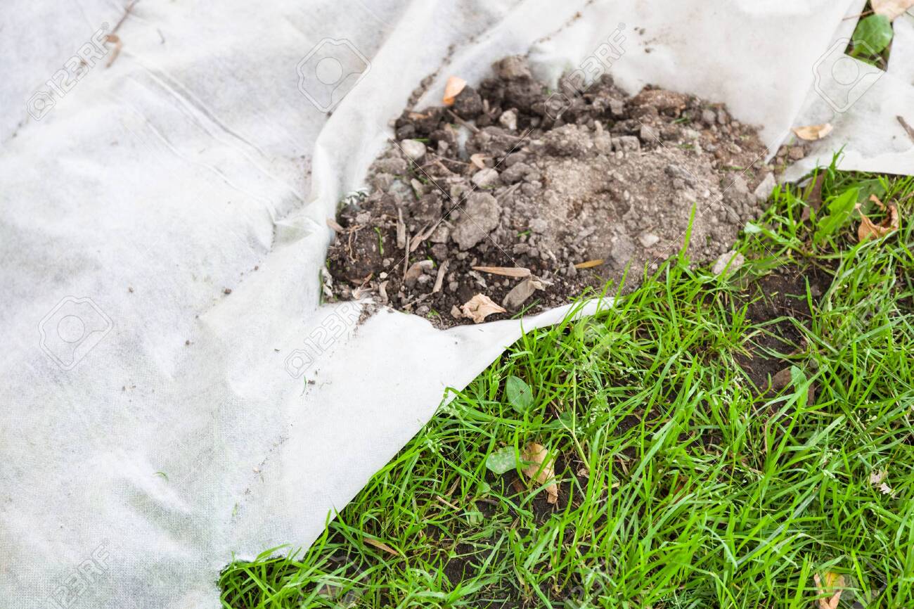 New Lawn By Non Woven Fabric For Improving Fertility And Health Stock Photo Picture And Royalty Free Image Image 129023864