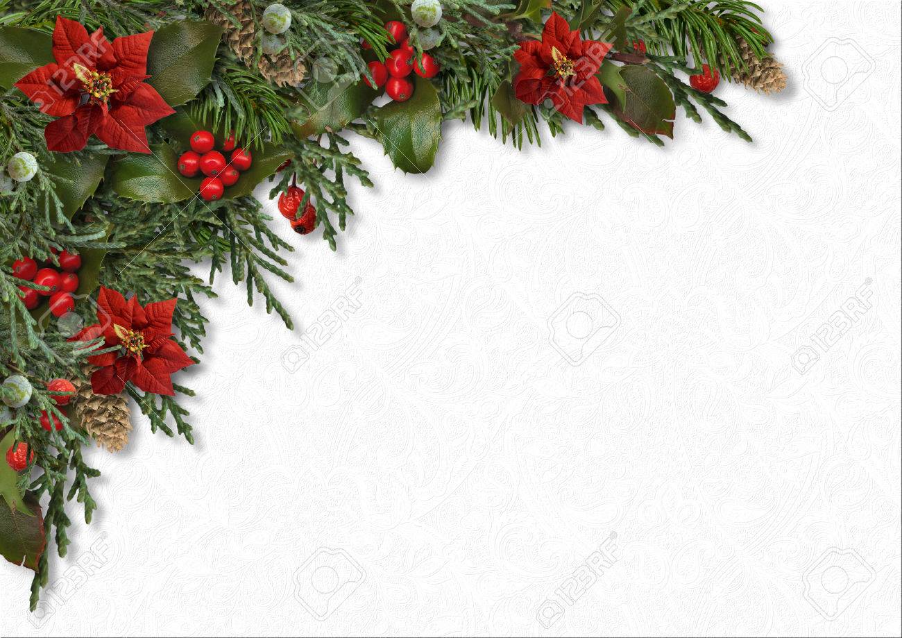 christmas poinsettias border