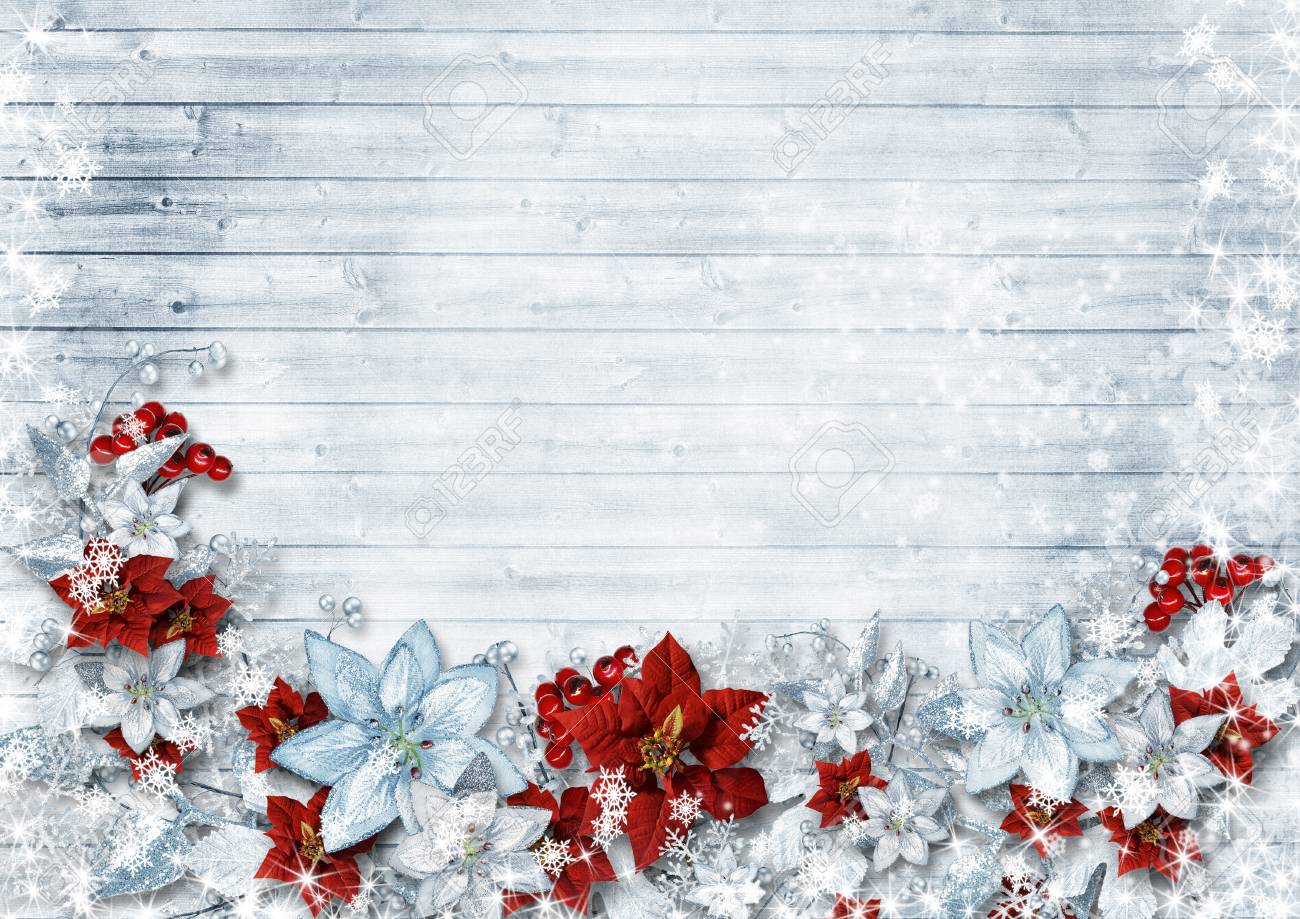 クリスマス ポインセチアと冬に花をつける木枠 の写真素材 画像素材 Image