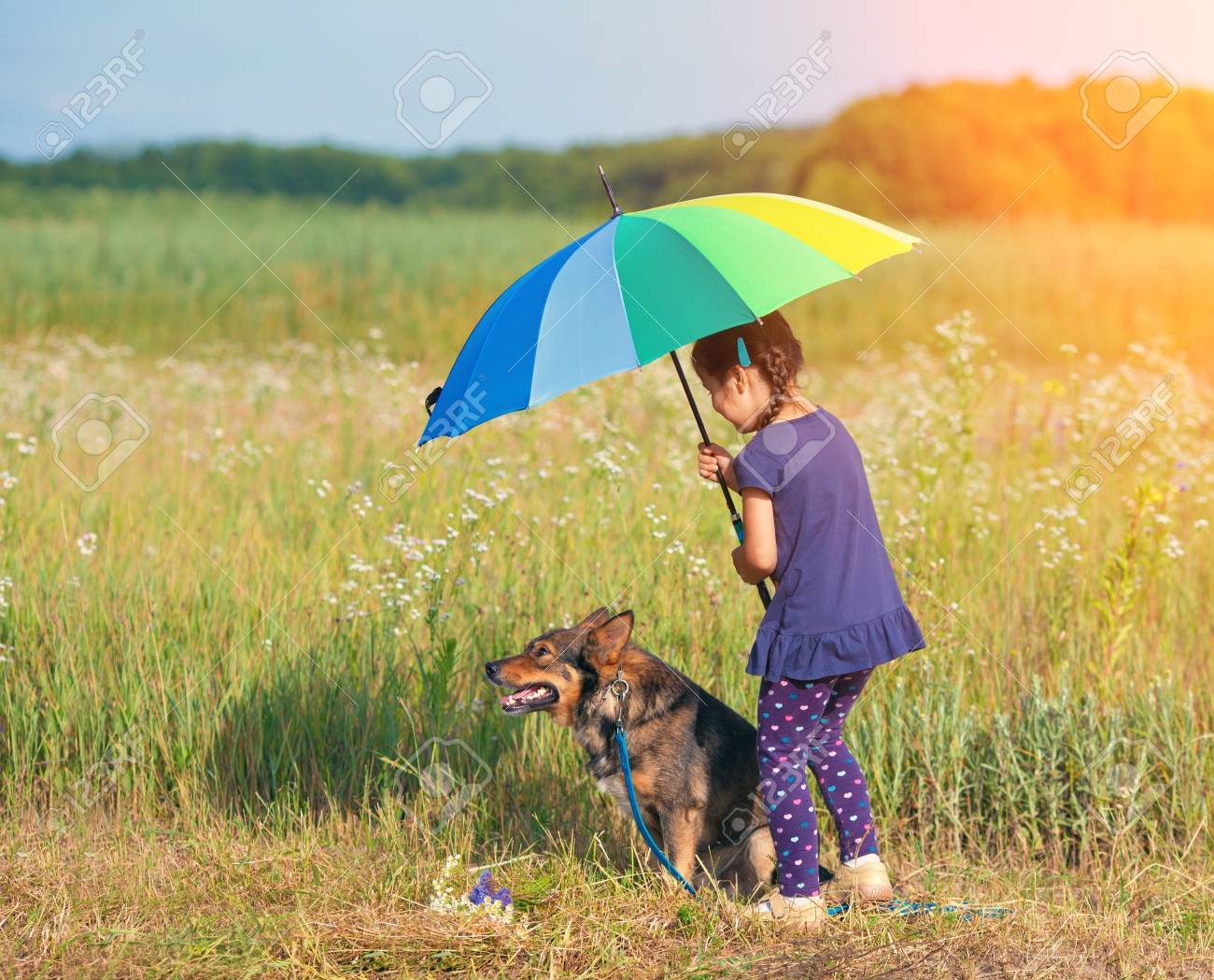 big dog umbrella