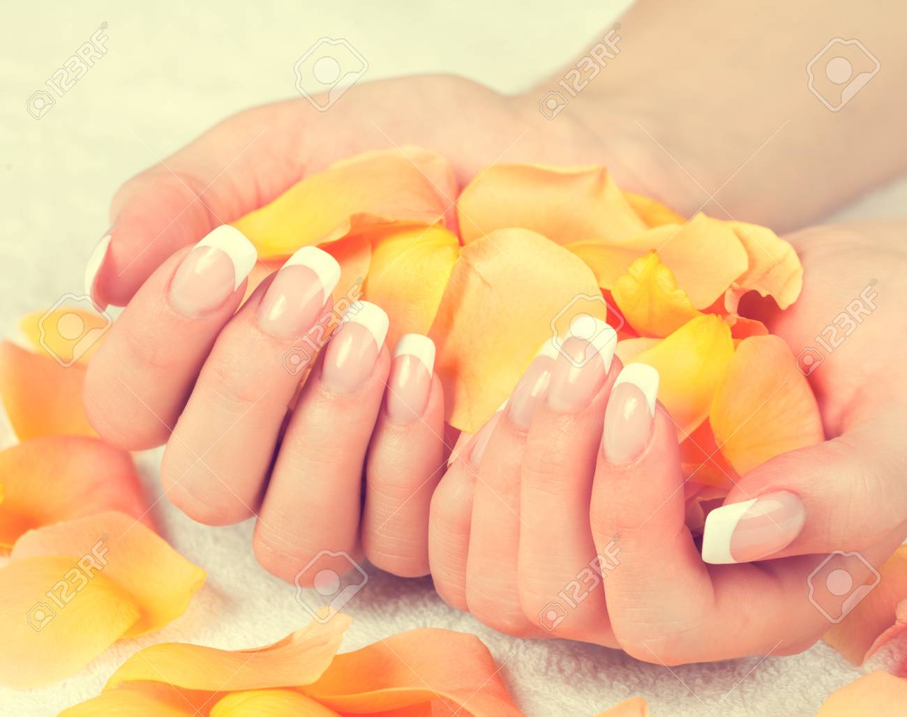バラの花びらを押し完璧なフランス語マニキュアの女性の手 ヴィンテージの色 の写真素材 画像素材 Image