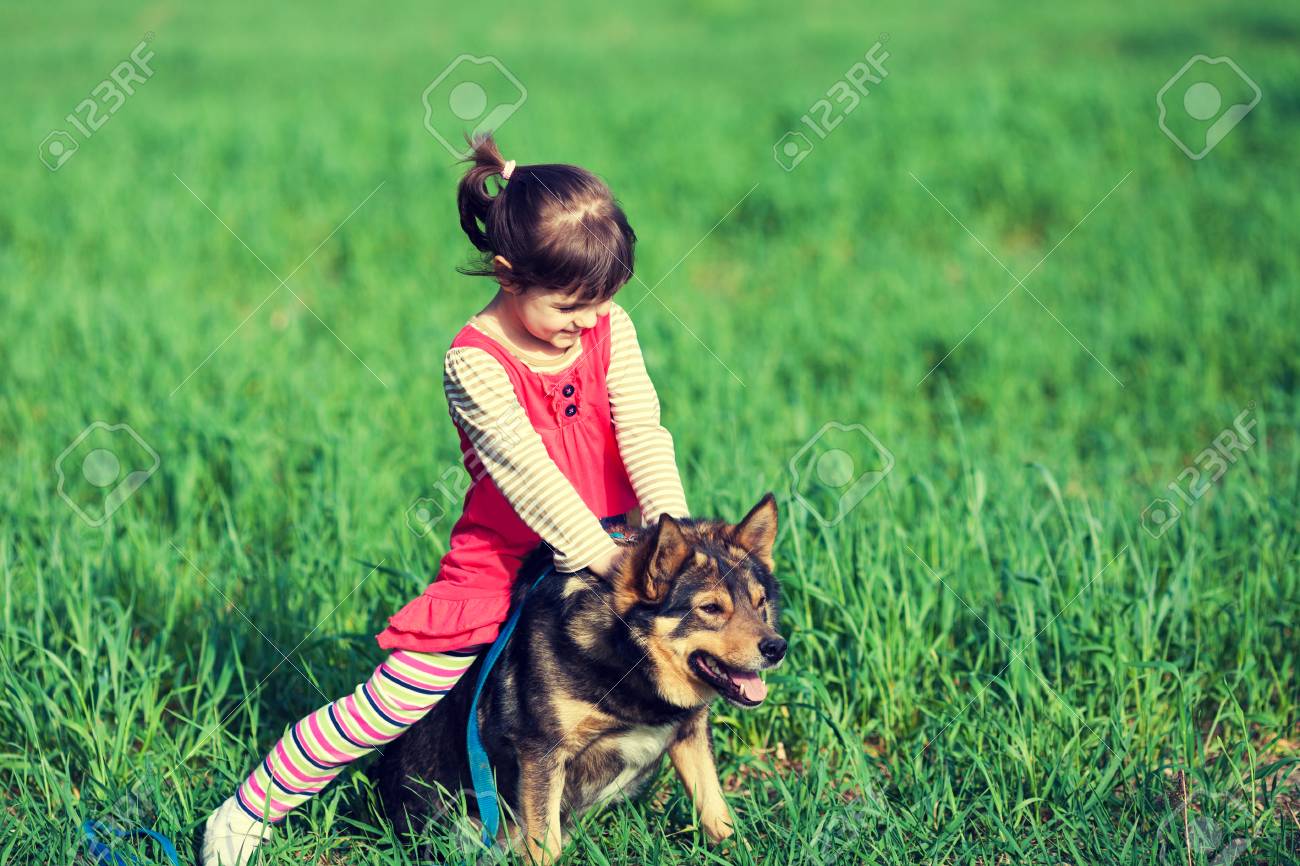 Kleines Madchen Spielt Mit Einem Hund Auf Dem Grunen Rasen Ein Kind Sitzt Auf Einem Hund Lizenzfreie Fotos Bilder Und Stock Fotografie Image 87492713