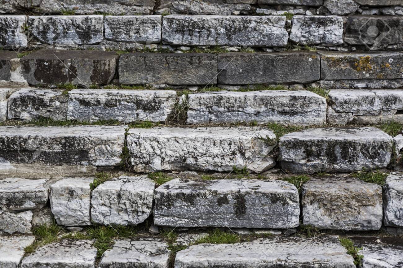 etiam-dictum-ipsum-a-felis