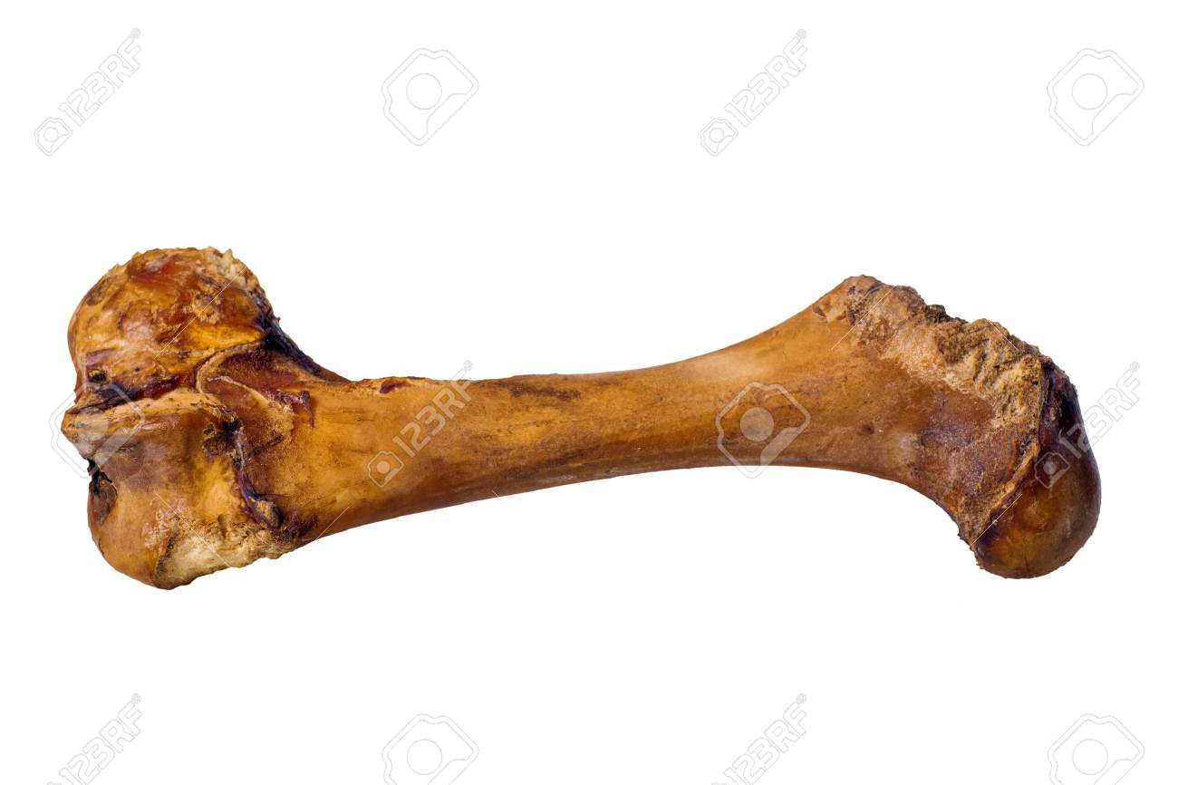 biggest dog bone